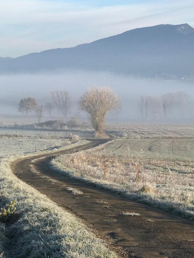 Le Pipapo Leilighet Saint-Martin-de-Bavel Eksteriør bilde